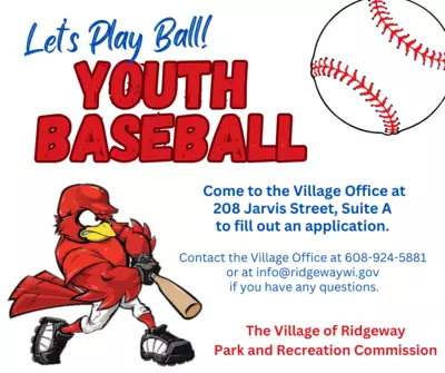 Youth Baseball